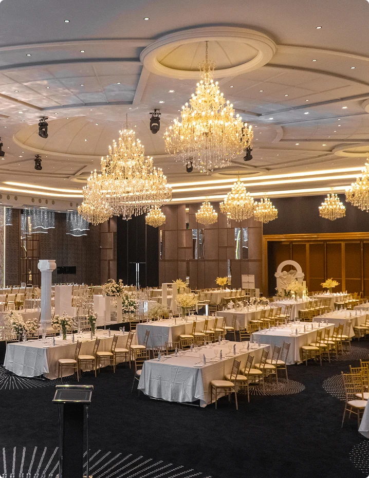 Monkeys Canopy Resort